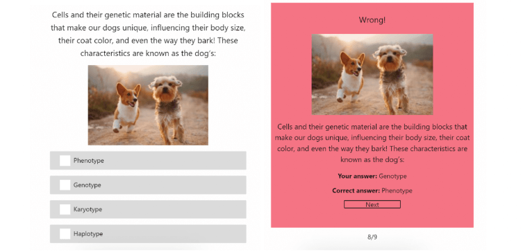 eCommerce Quizzes: 7 Companies Doing It Right.