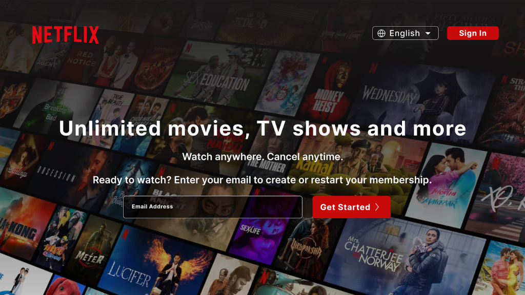 Netflix landing page.